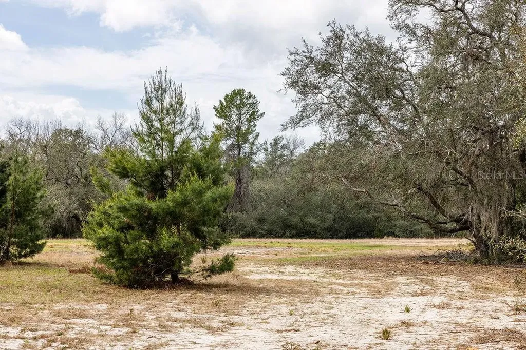 Forest 02 Road Umatilla FL 32784