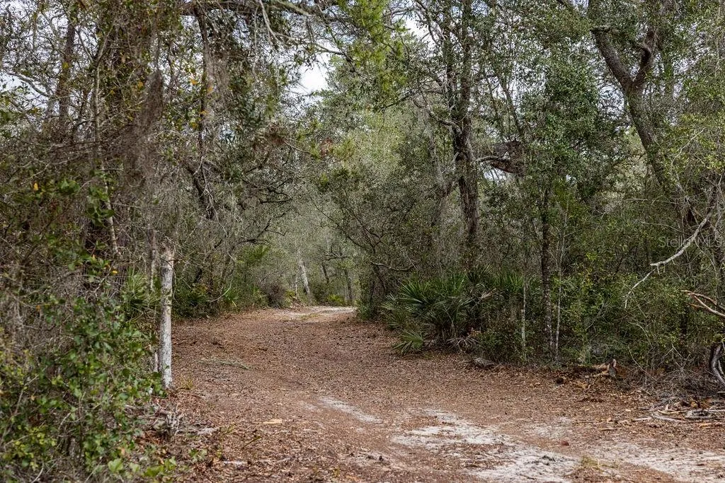 Forest 02 Road Umatilla FL 32784