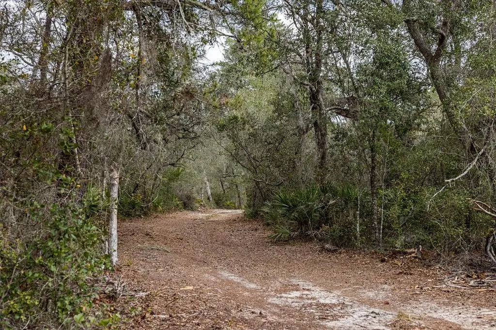 Forest 02 Road Umatilla FL 32784