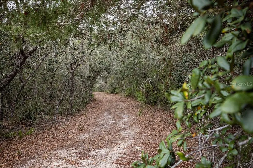 Forest 02 Road Umatilla FL 32784