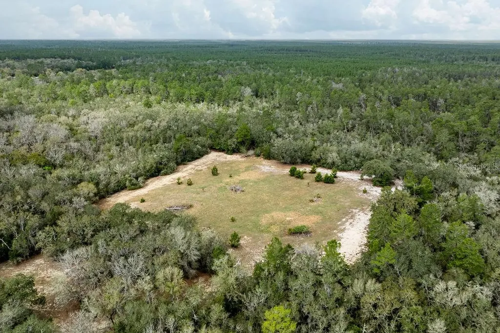 Forest 02 Road Umatilla FL 32784