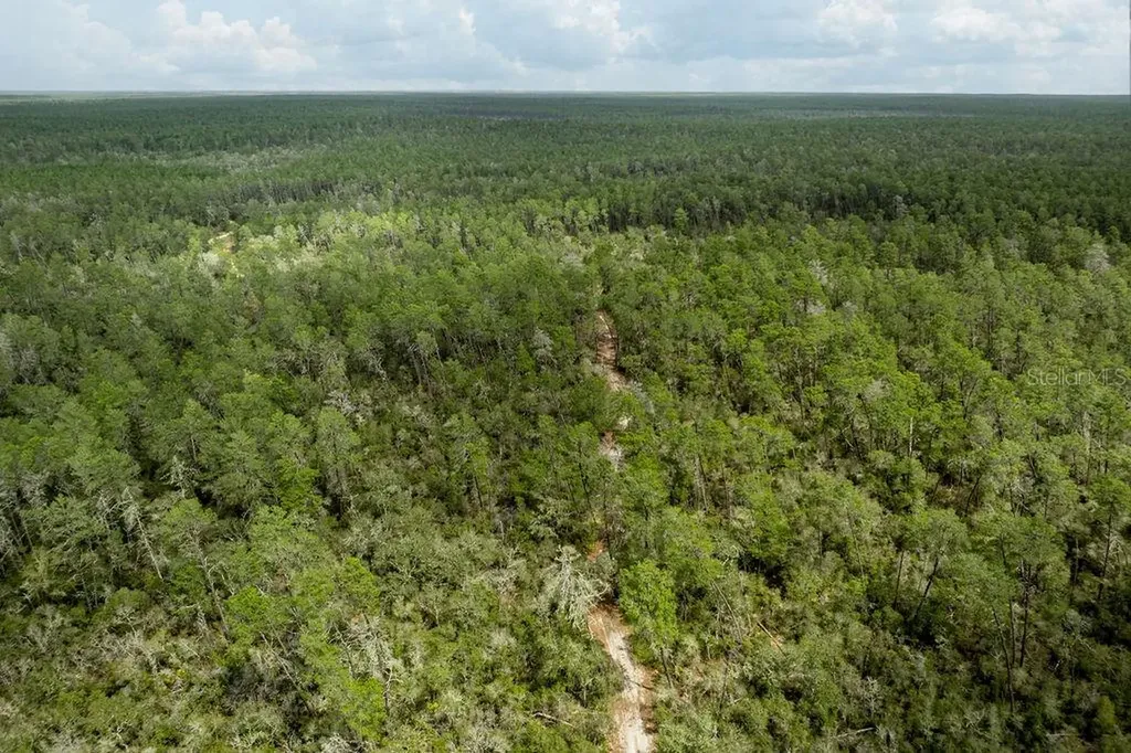 Forest 02 Road Umatilla FL 32784