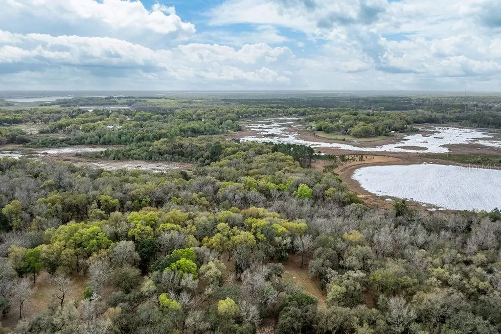 Forest 02 Road Umatilla FL 32784