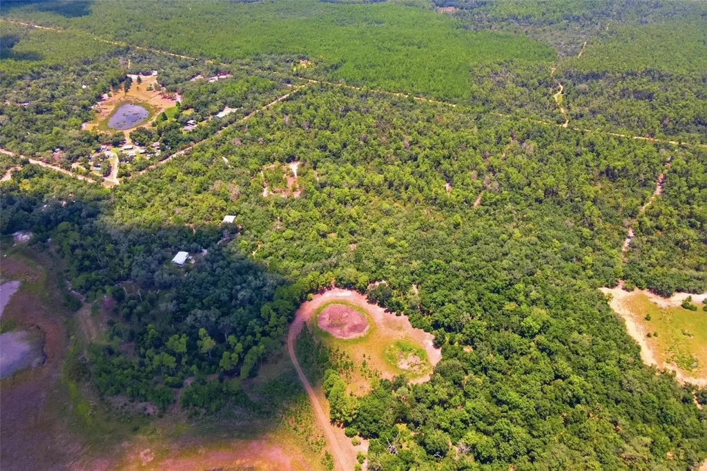 Forest 02 Road Umatilla FL 32784