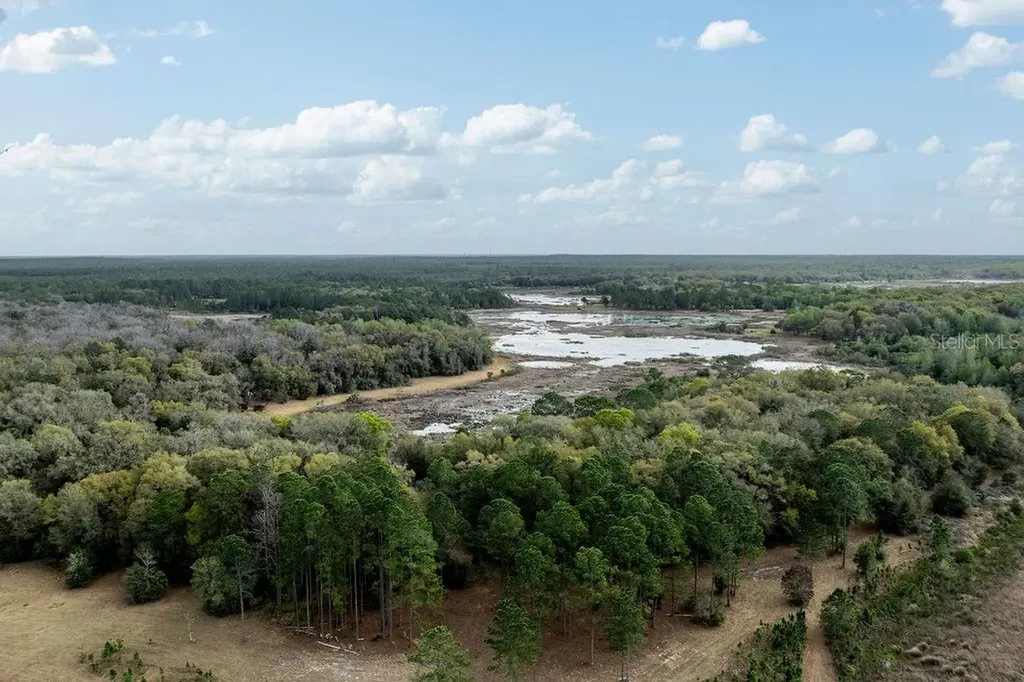 Forest 02 Road Umatilla FL 32784