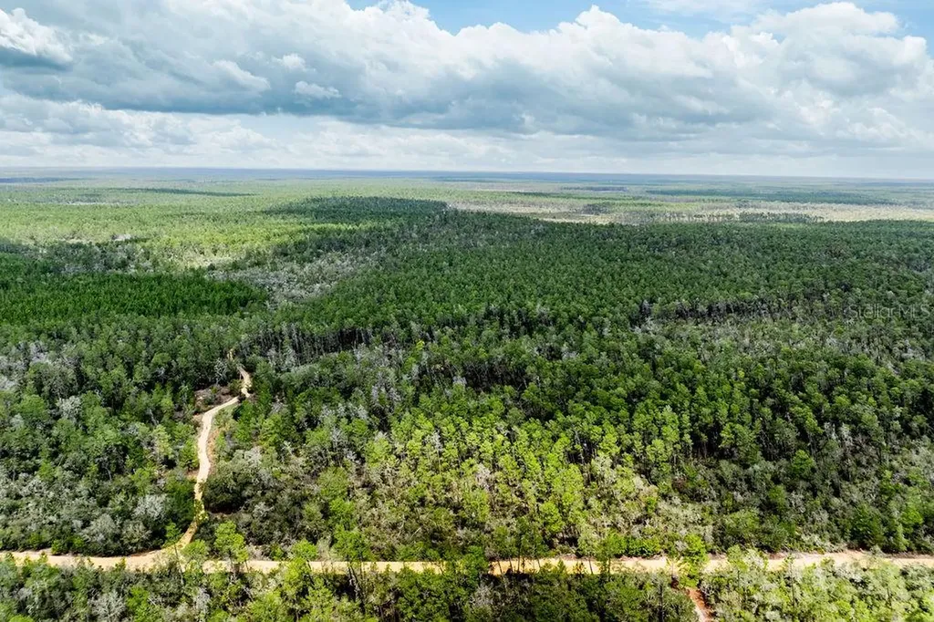 Forest 02 Road Umatilla FL 32784