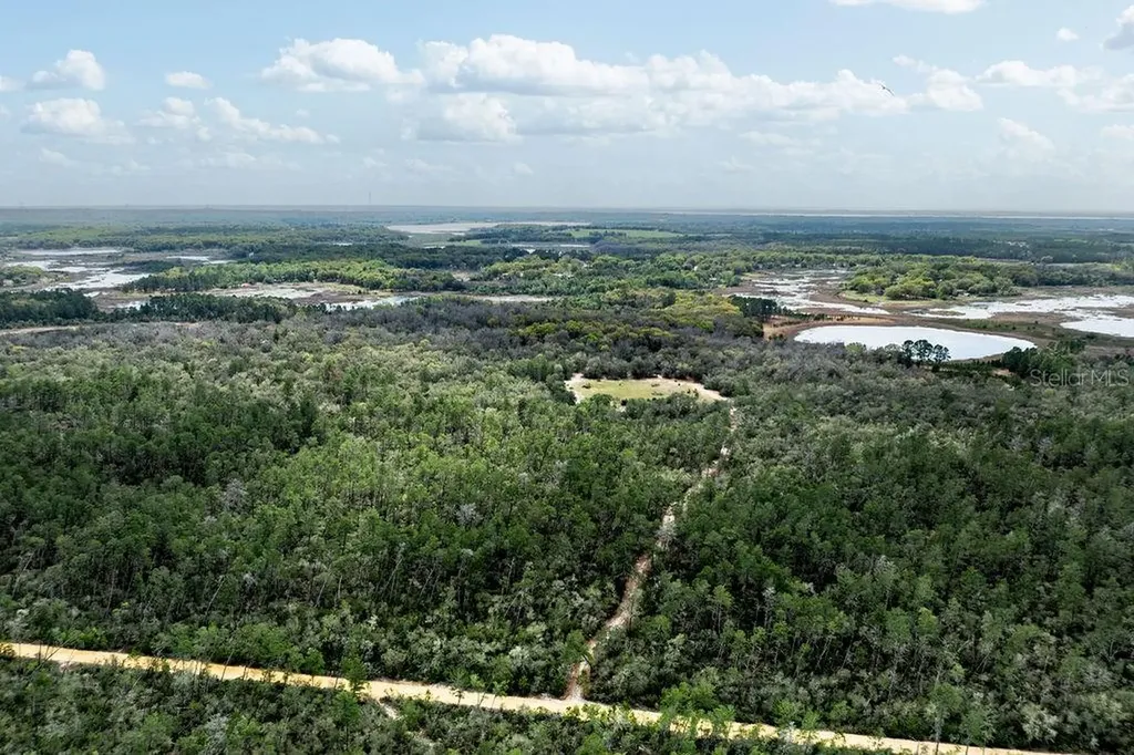 Forest 02 Road Umatilla FL 32784