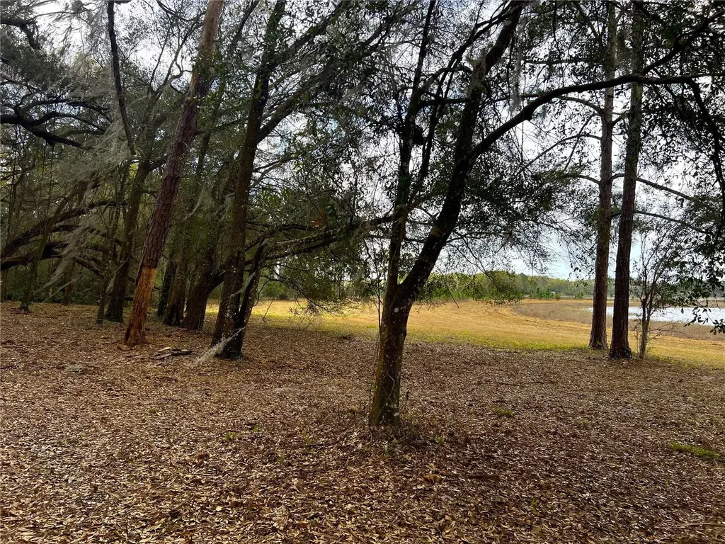 Forest 02 Road Umatilla FL 32784