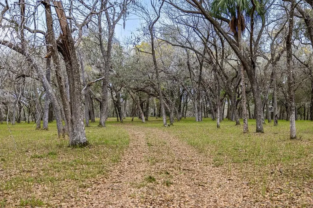 Forest 02 Road Umatilla FL 32784