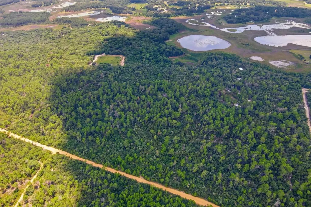 Forest 02 Road Umatilla FL 32784