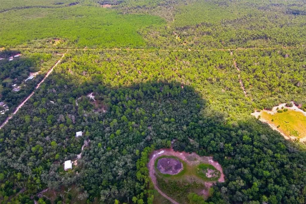 Forest 02 Road Umatilla FL 32784