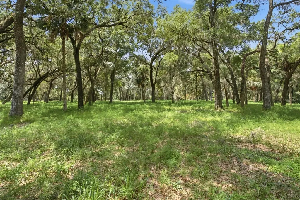 Forest 02 Road Umatilla FL 32784