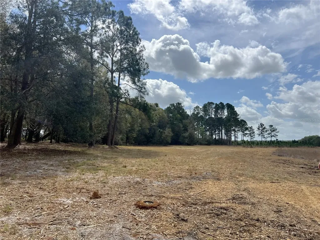 Forest 02 Road Umatilla FL 32784