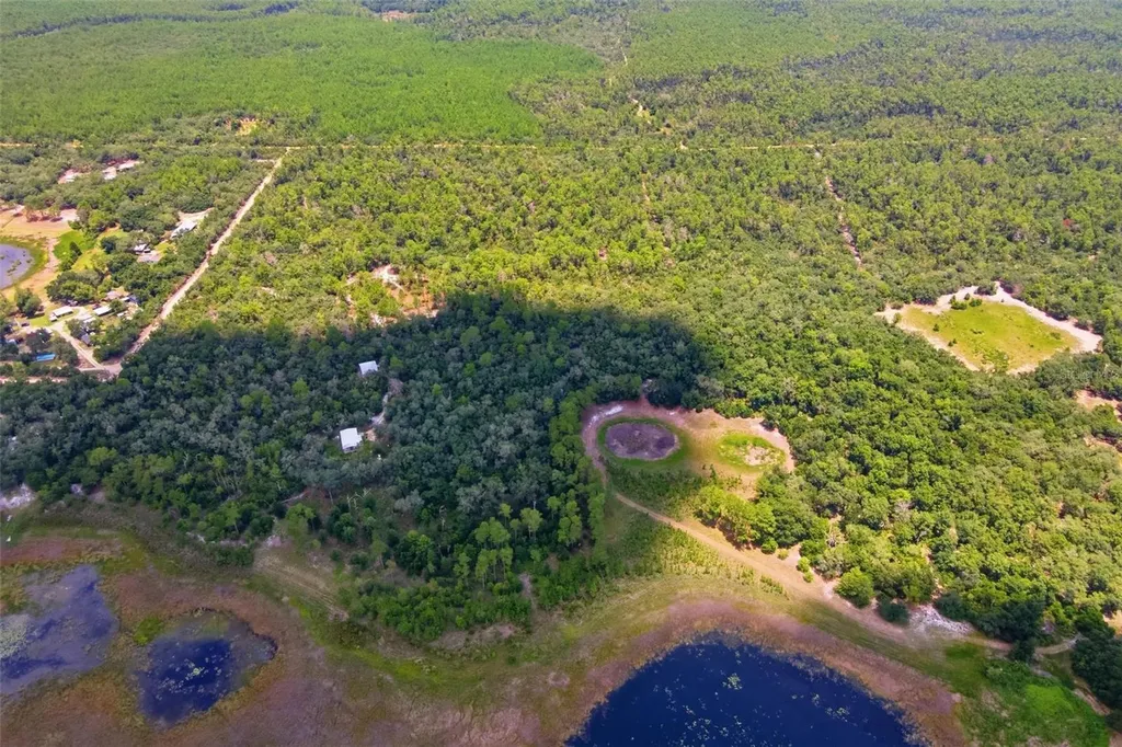Forest 02 Road Umatilla FL 32784