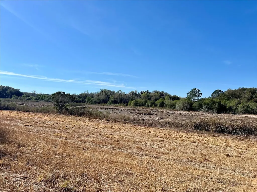 Forest 02 Road Umatilla FL 32784