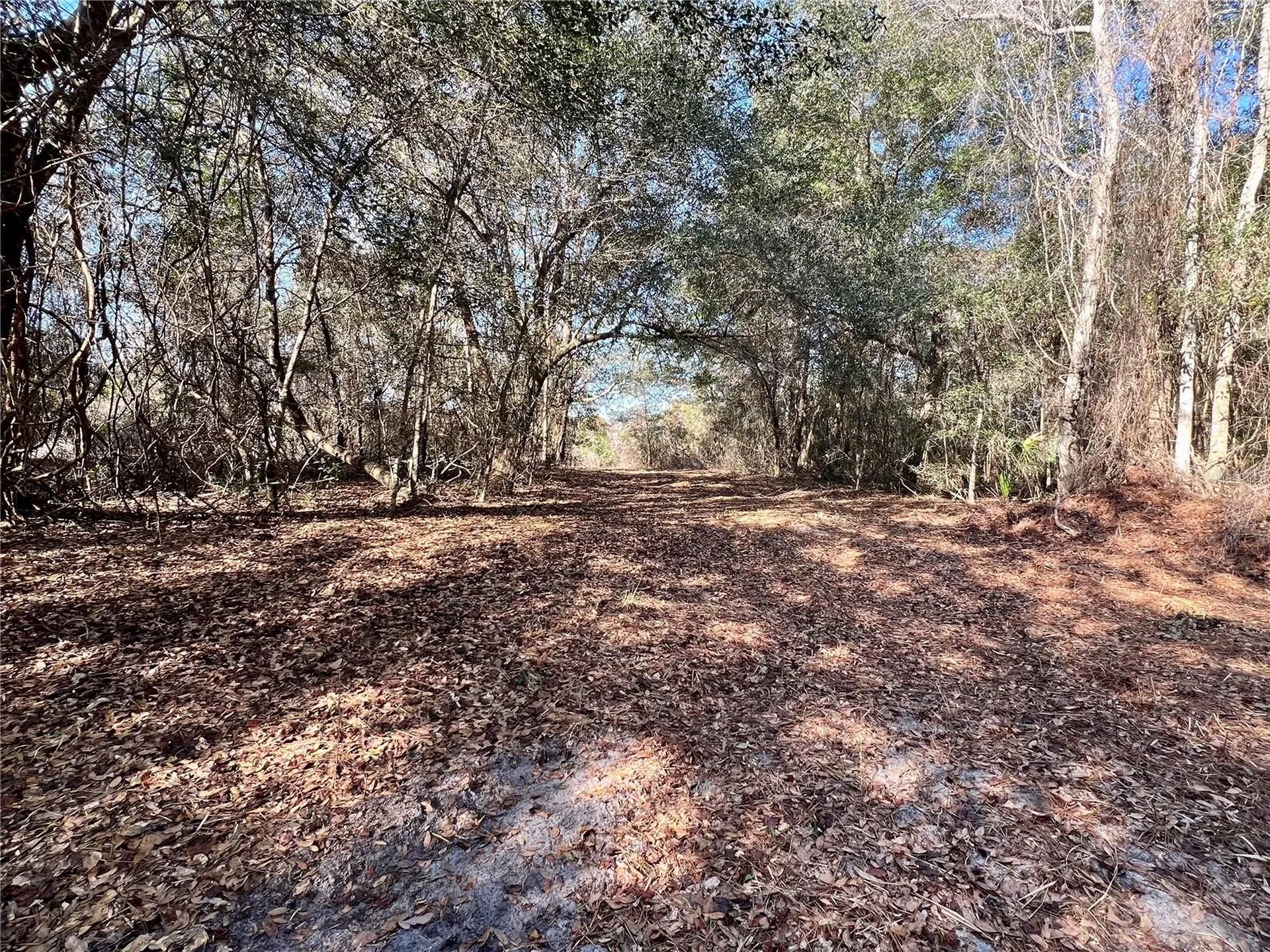 Forest 02 Road Umatilla FL 32784