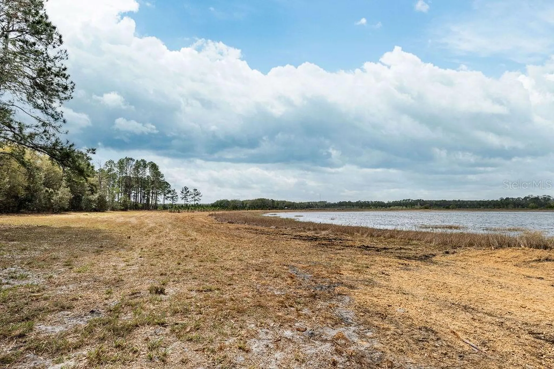 Forest 02 Road Umatilla FL 32784