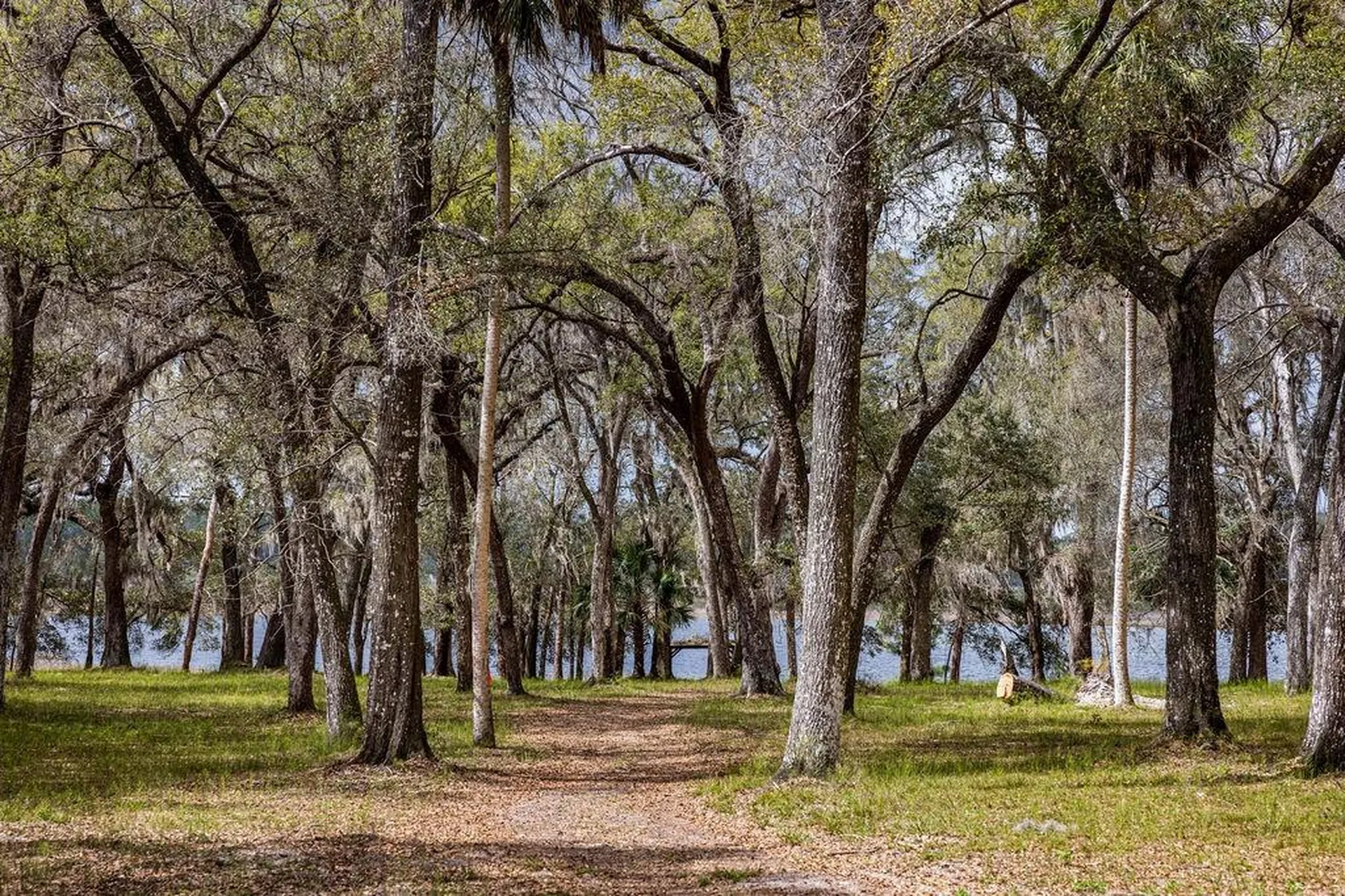 Forest 02 Road Umatilla FL 32784