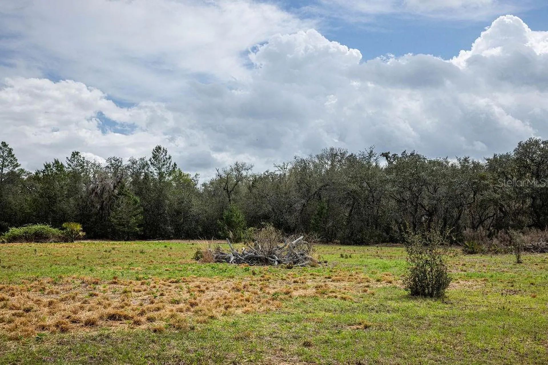 Forest 02 Road Umatilla FL 32784