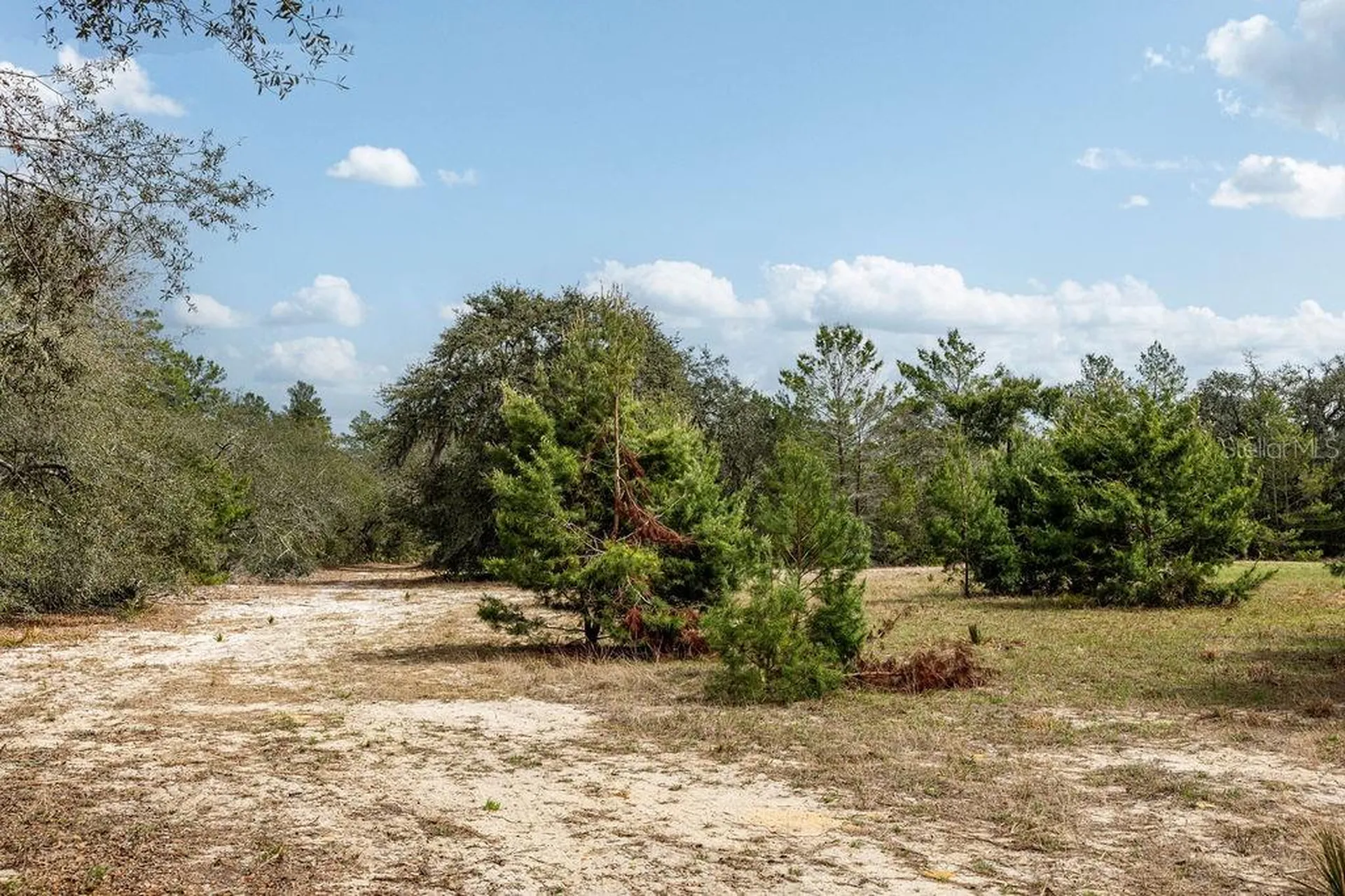 Forest 02 Road Umatilla FL 32784