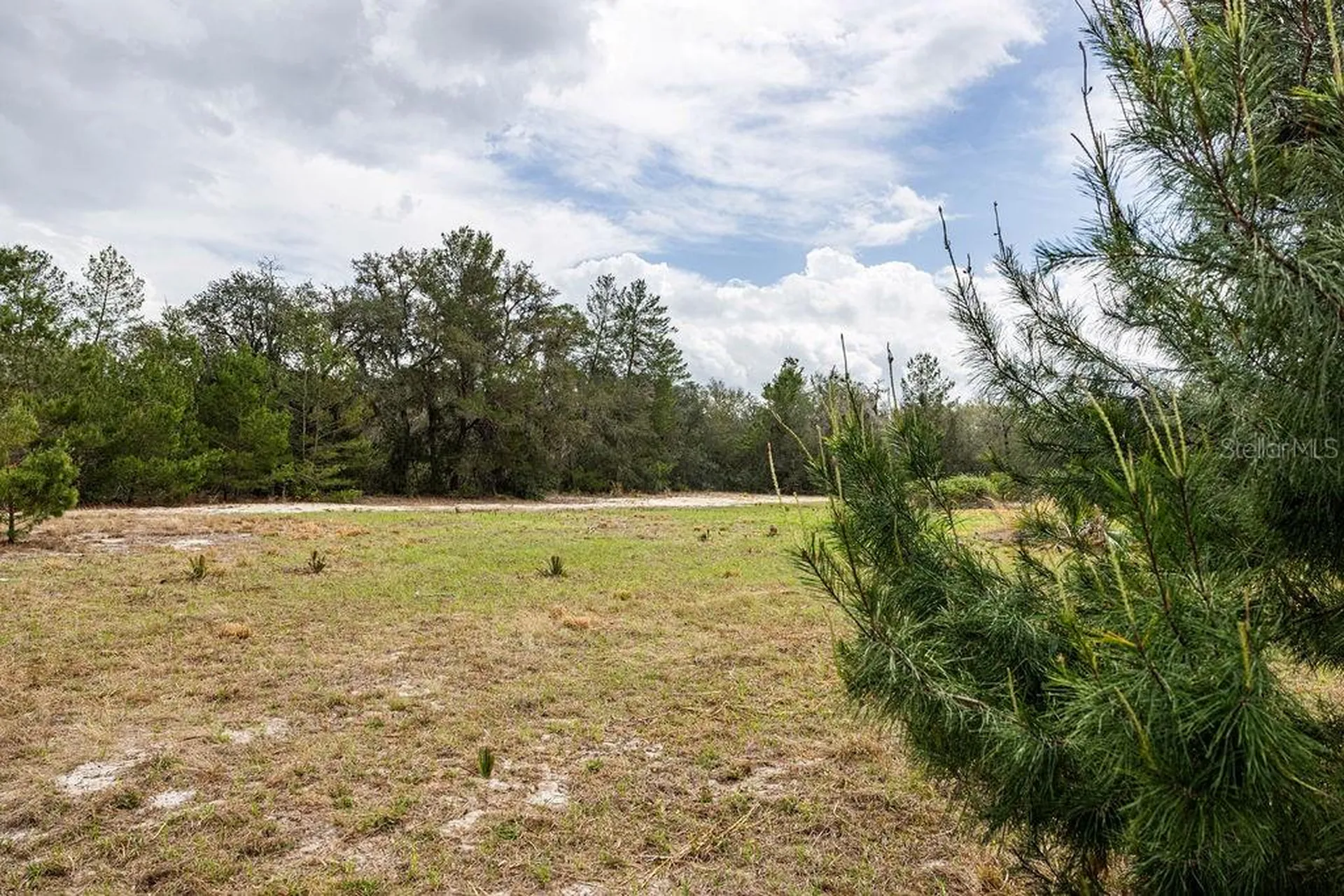 Forest 02 Road Umatilla FL 32784