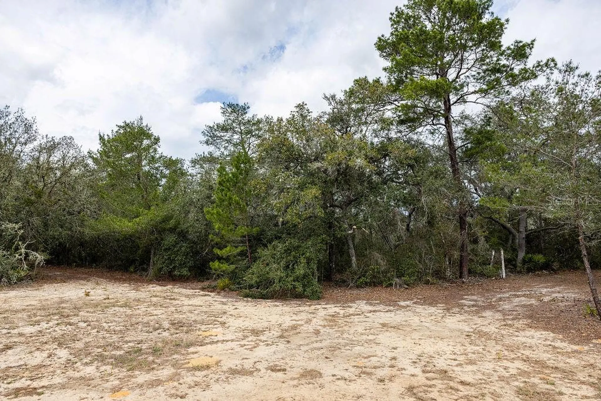 Forest 02 Road Umatilla FL 32784