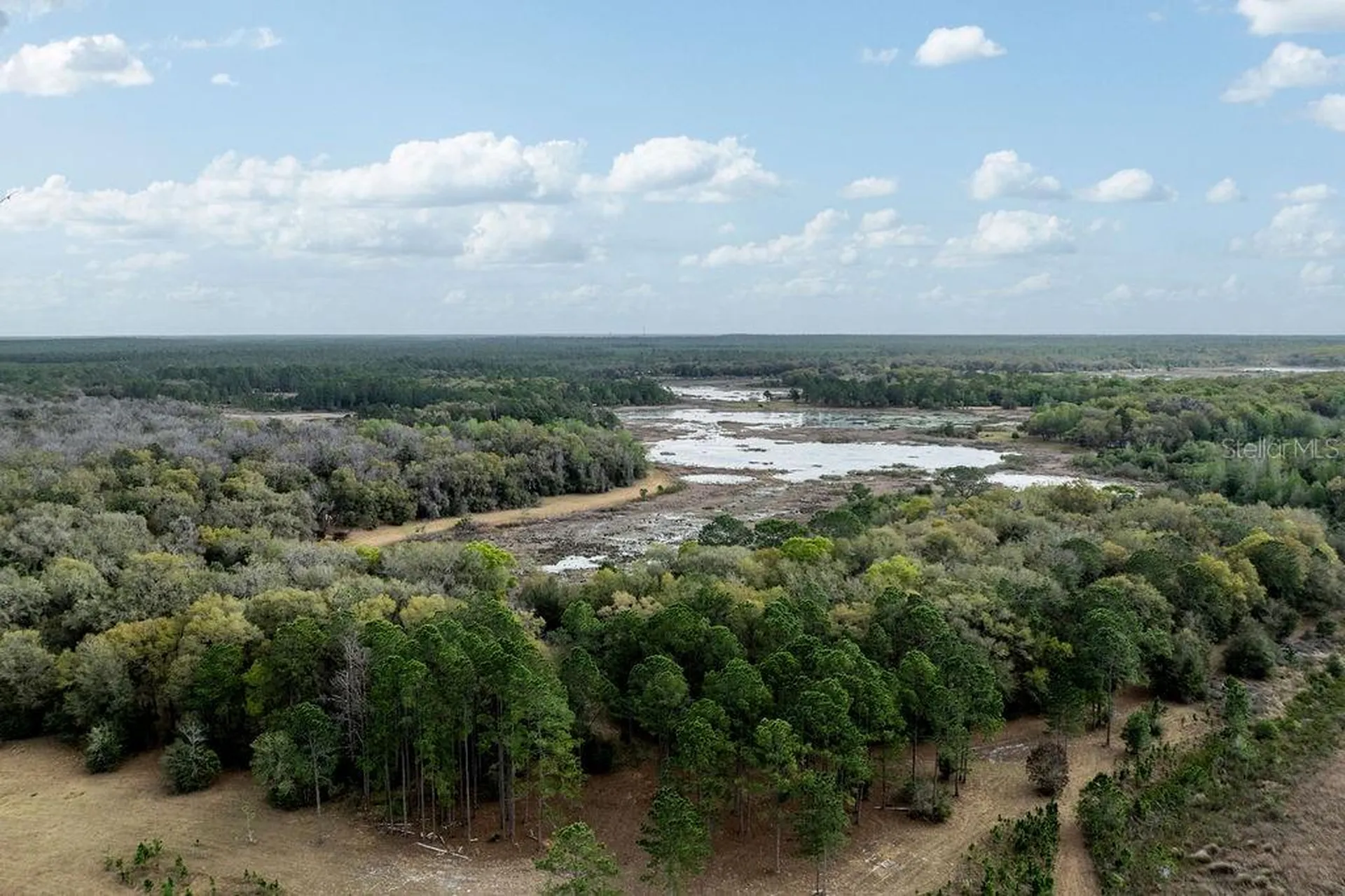 Forest 02 Road Umatilla FL 32784