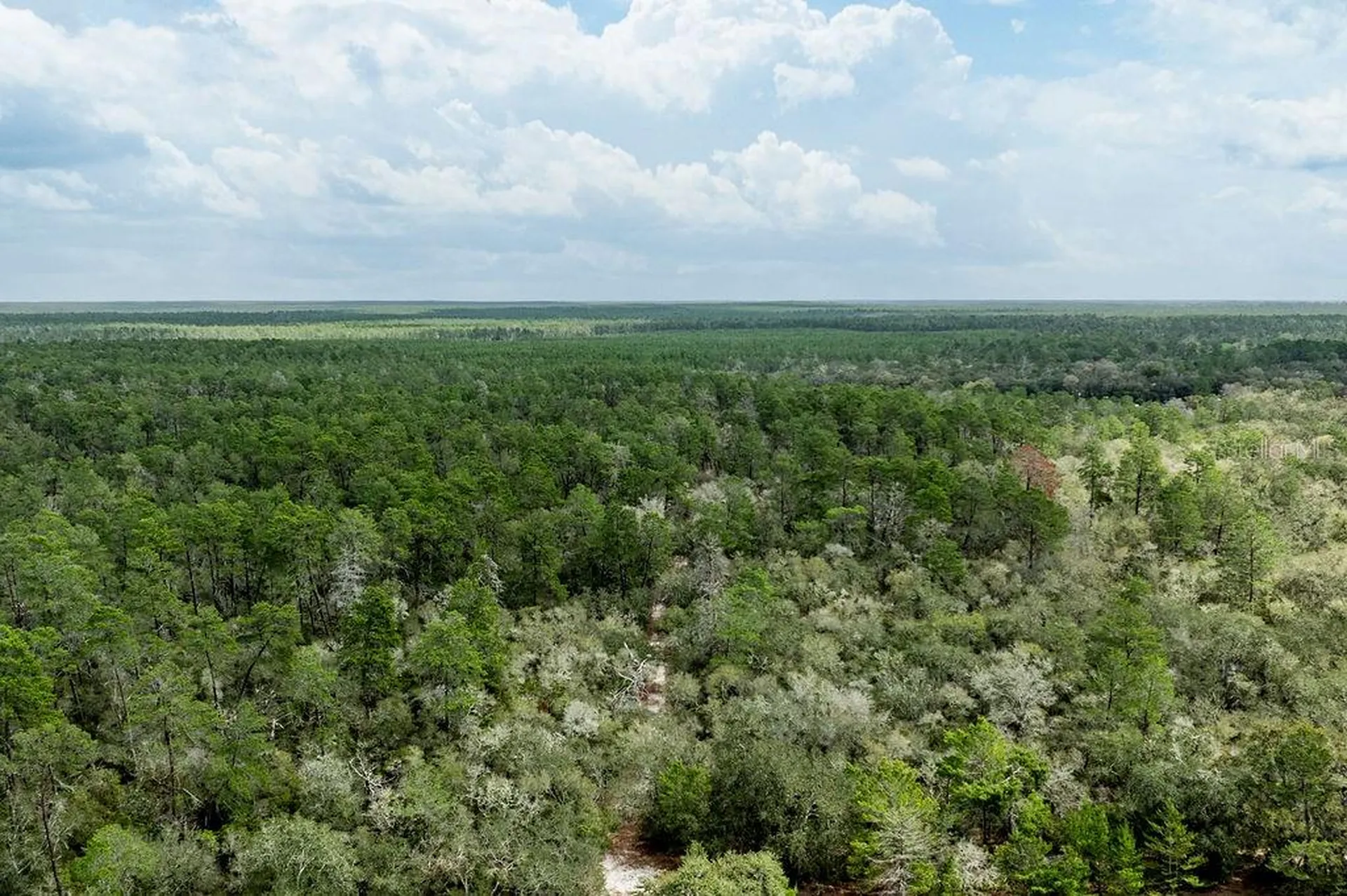Forest 02 Road Umatilla FL 32784
