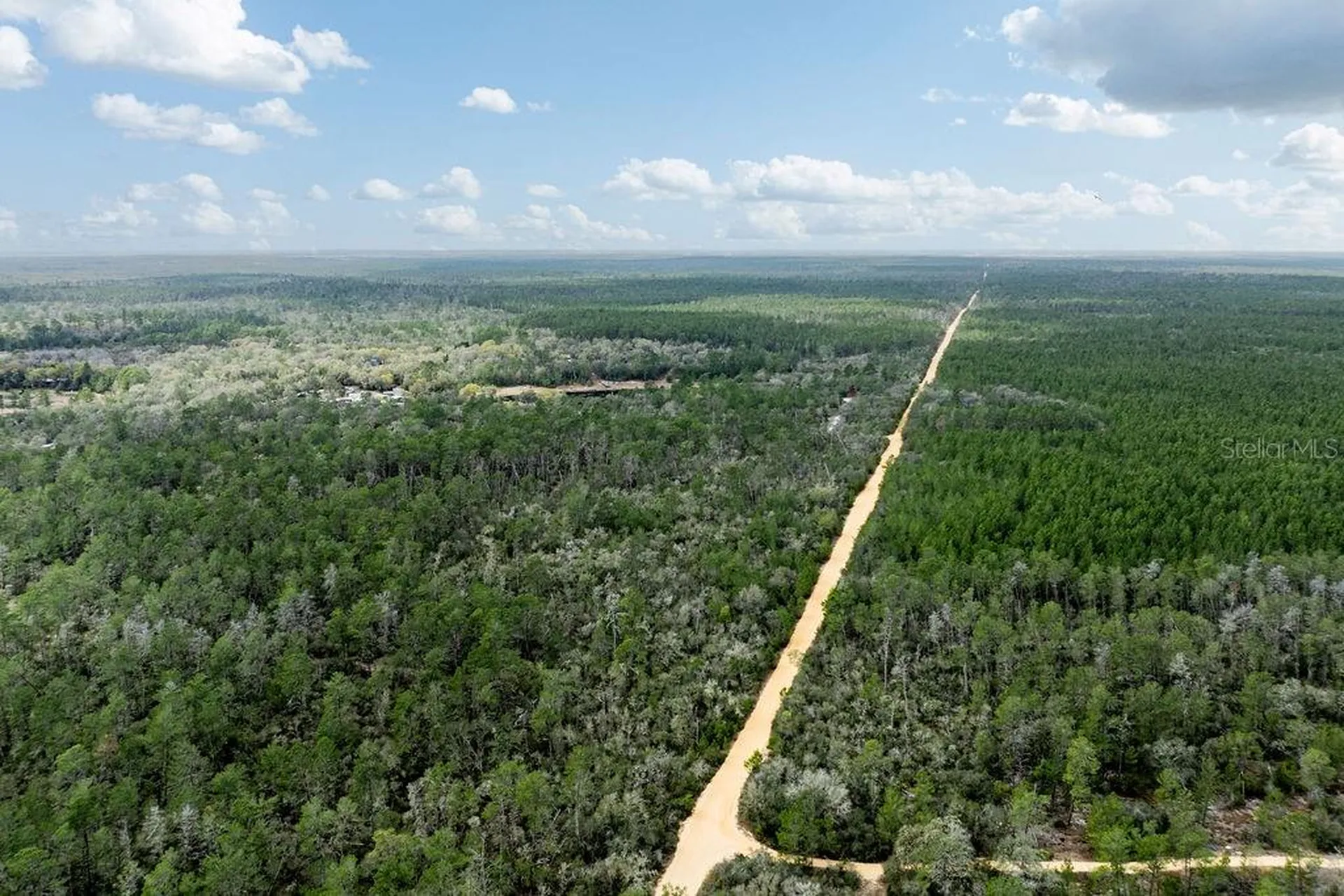 Forest 02 Road Umatilla FL 32784