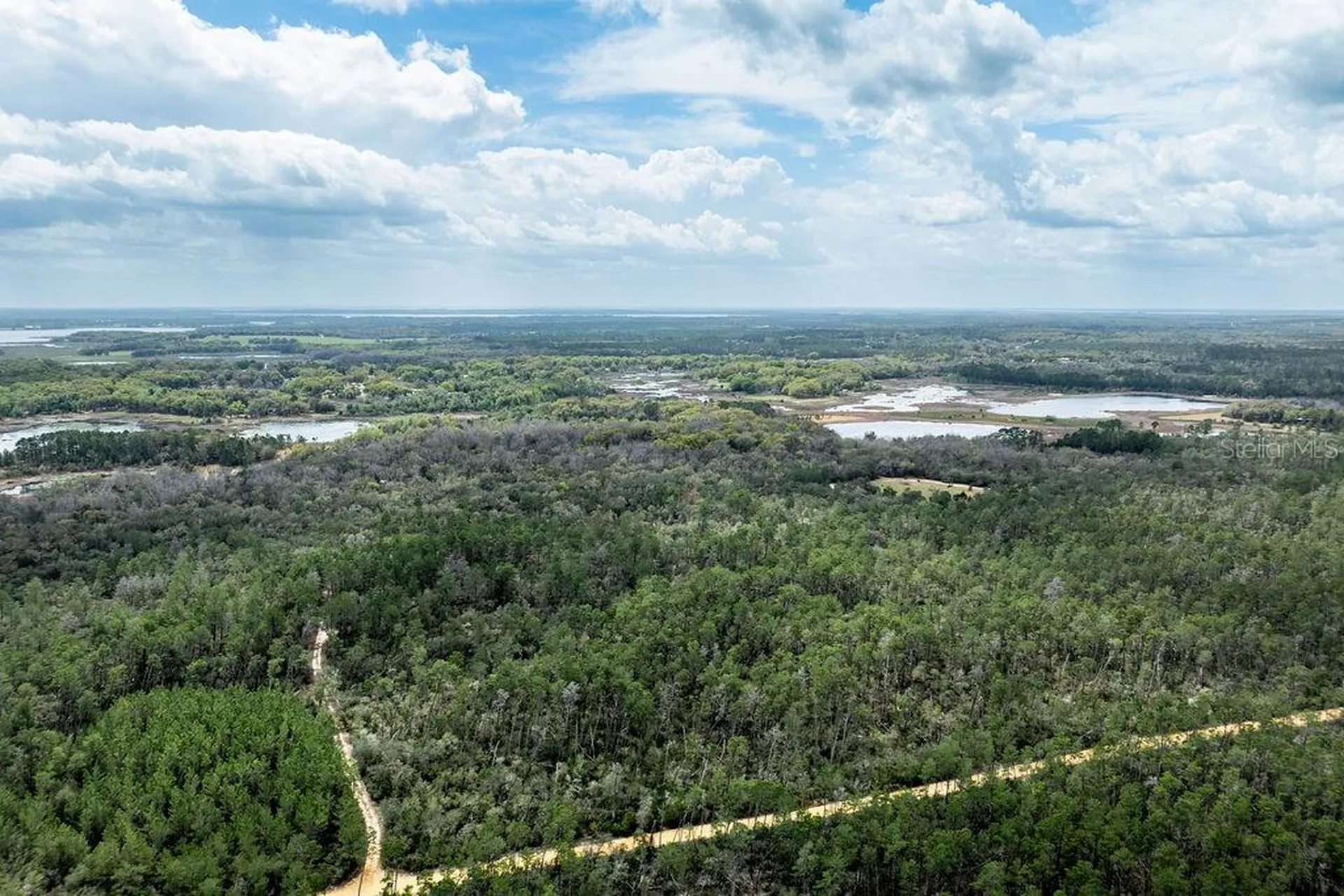 Forest 02 Road Umatilla FL 32784