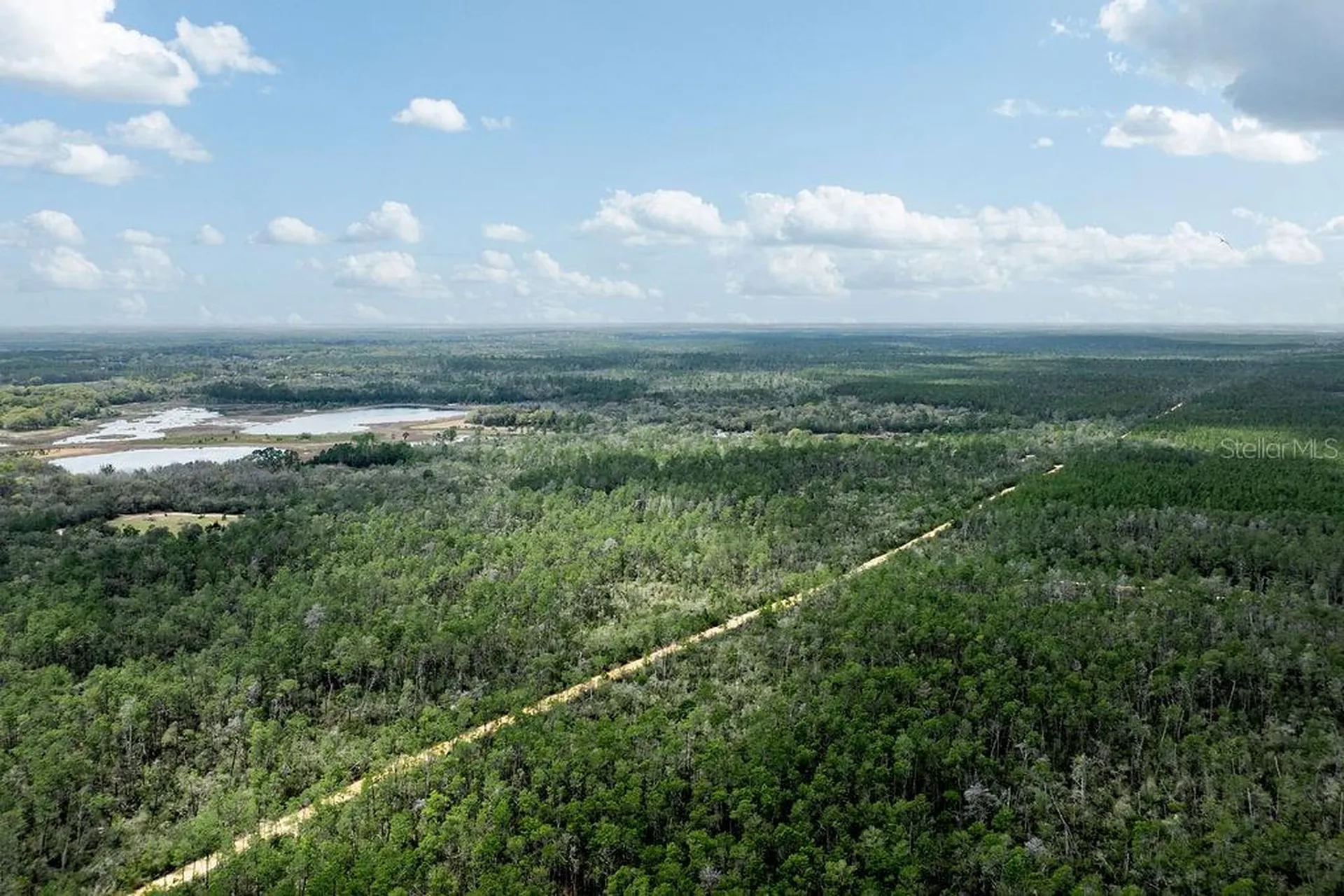 Forest 02 Road Umatilla FL 32784