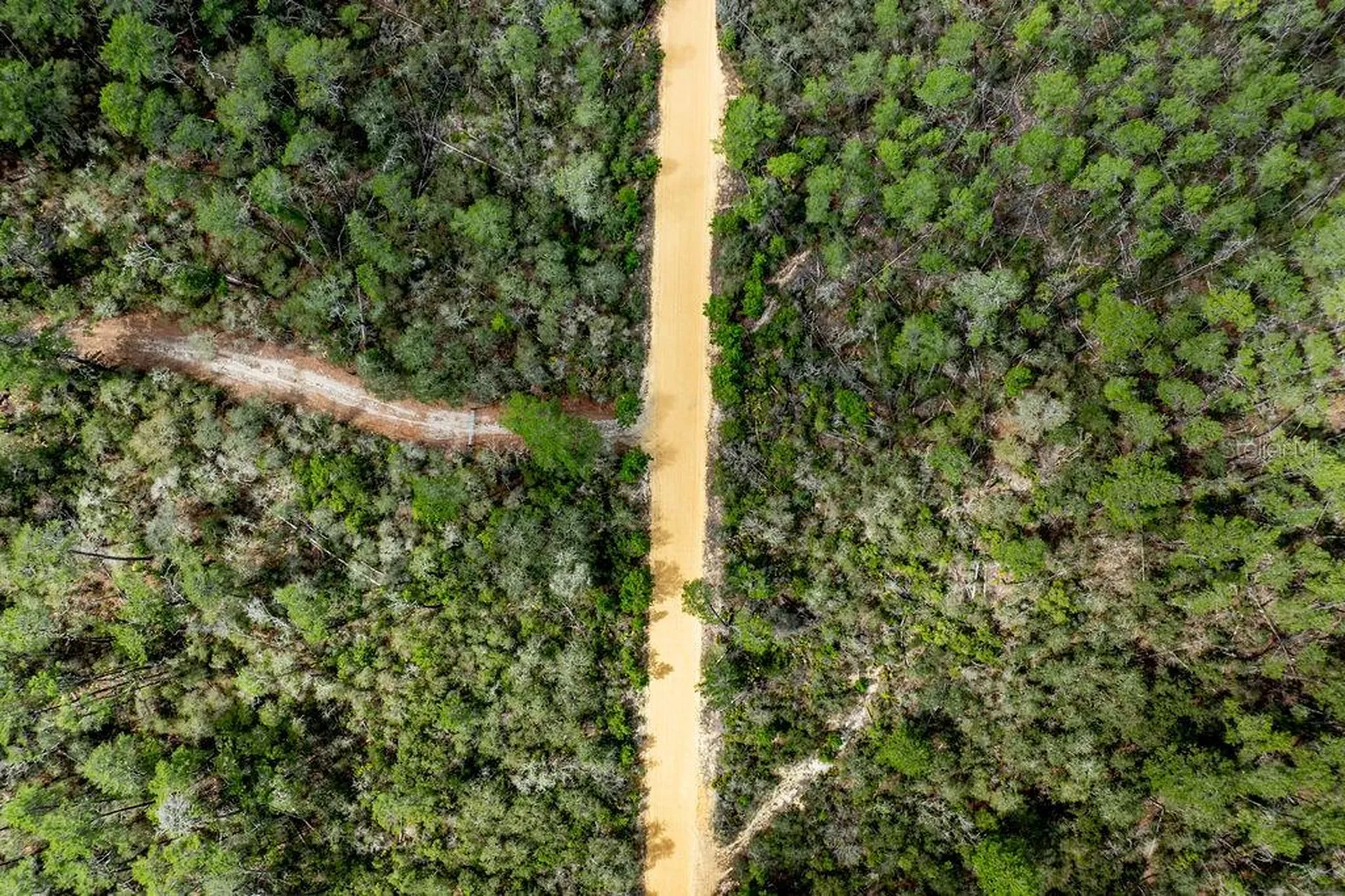 Forest 02 Road Umatilla FL 32784