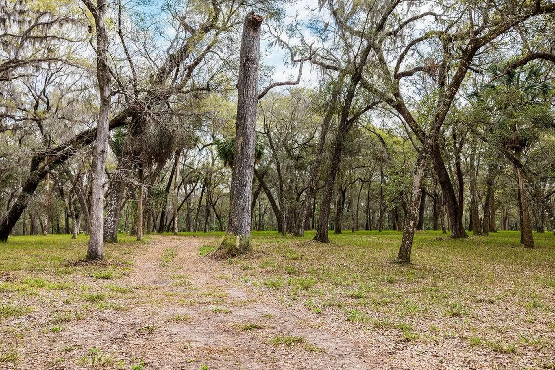 Forest 02 Road Umatilla FL 32784