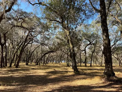 Forest 02 Road Umatilla FL 32784