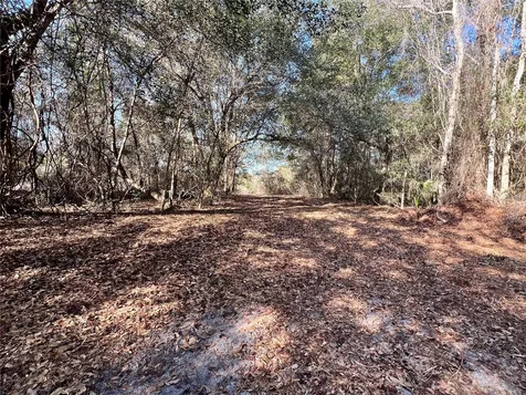 Forest 02 Road Umatilla FL 32784
