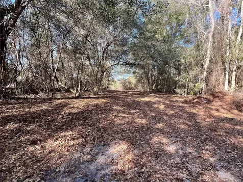 Forest 02 Road Umatilla FL 32784
