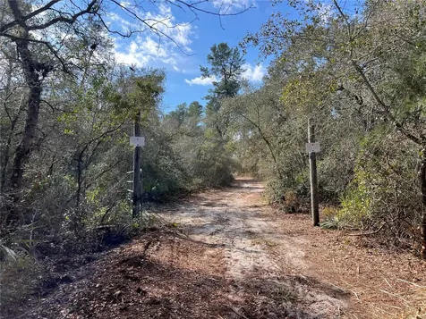Forest 02 Road Umatilla FL 32784