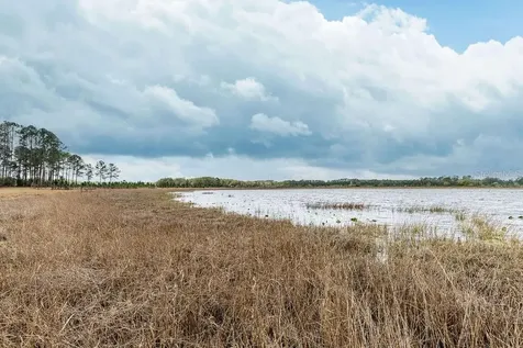 Forest 02 Road Umatilla FL 32784