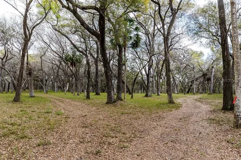 Forest 02 Road Umatilla FL 32784