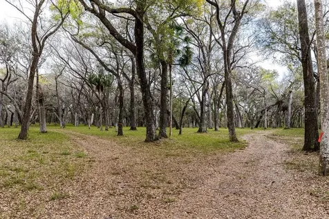 Forest 02 Road Umatilla FL 32784