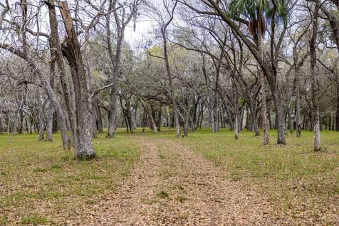 Forest 02 Road Umatilla FL 32784