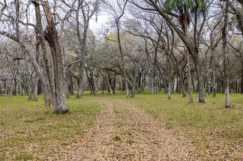 Forest 02 Road Umatilla FL 32784