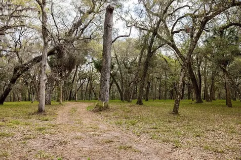 Forest 02 Road Umatilla FL 32784