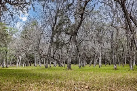 Forest 02 Road Umatilla FL 32784