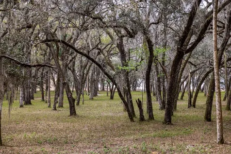 Forest 02 Road Umatilla FL 32784