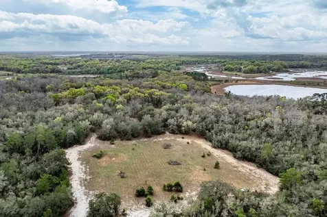 Forest 02 Road Umatilla FL 32784