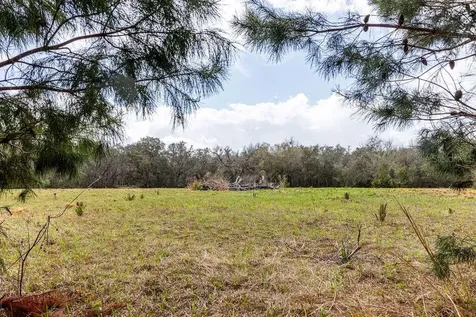Forest 02 Road Umatilla FL 32784