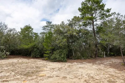 Forest 02 Road Umatilla FL 32784