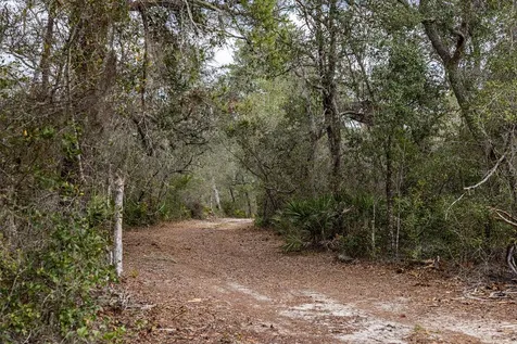 Forest 02 Road Umatilla FL 32784