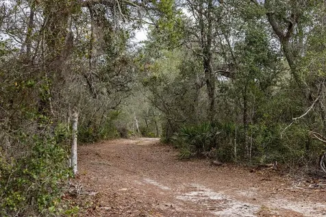 Forest 02 Road Umatilla FL 32784